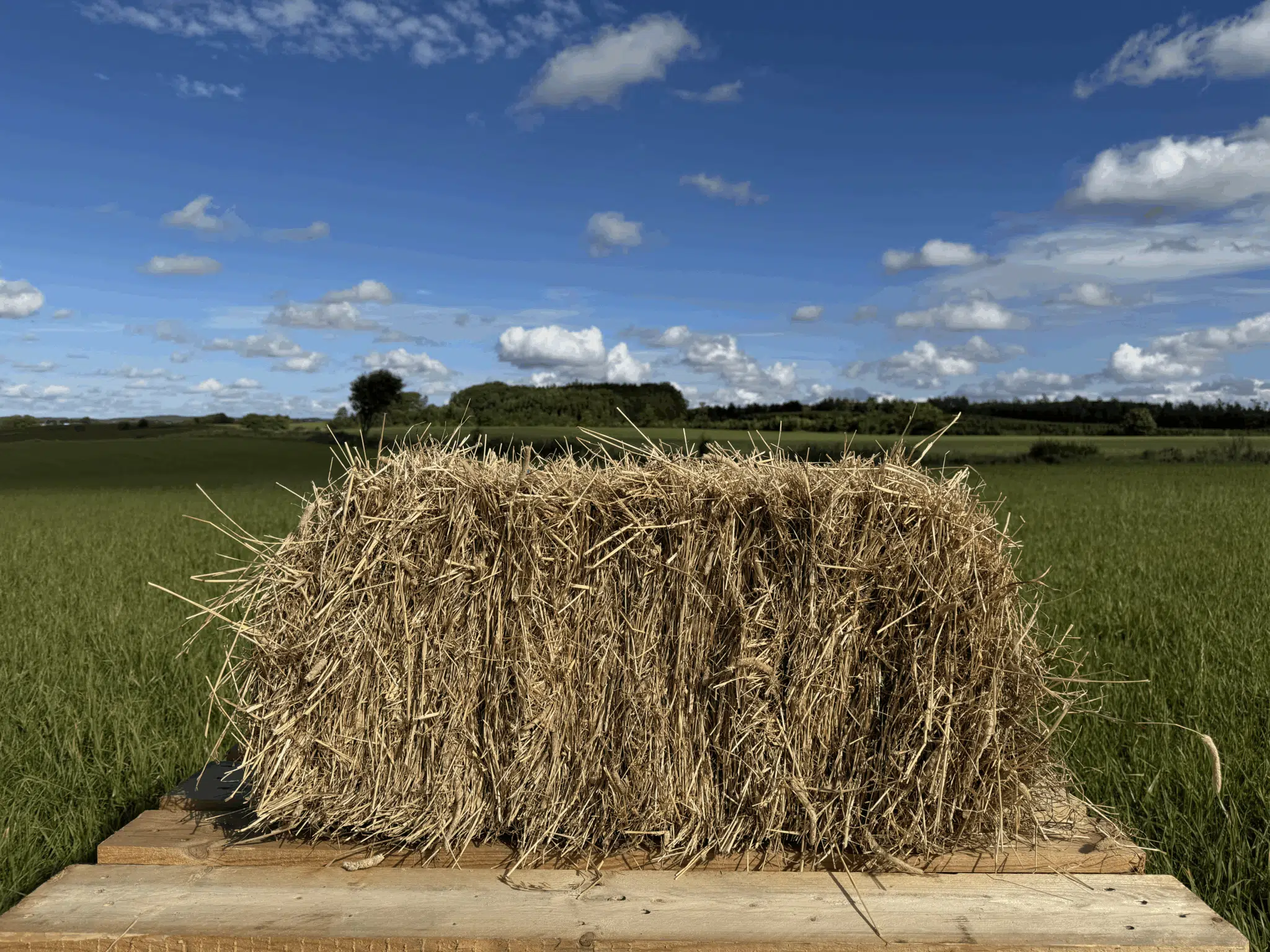 Tørt Hø – Morten Korch <br>(Horsemax Fiber Pronitro) <br> 2025